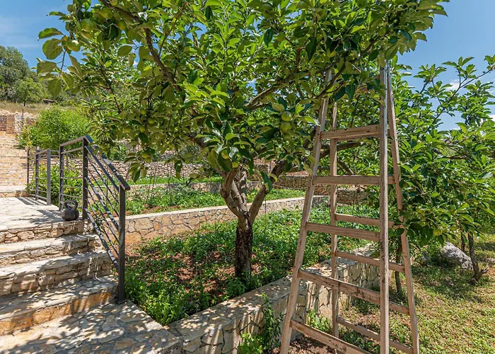 Cozy In * שיבניק